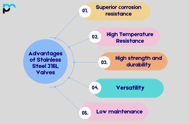 Stainless Steel 316L Valves