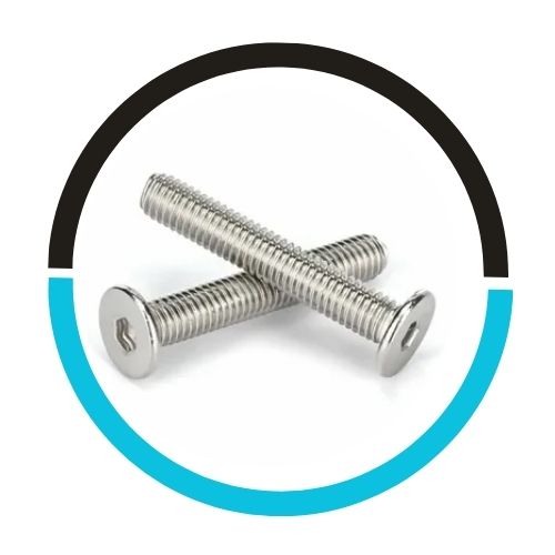 Stainless Steel Allen Hex Head Bolt