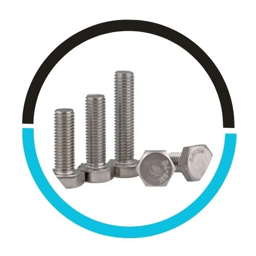 Stainless Steel Heavy Hex Bolt