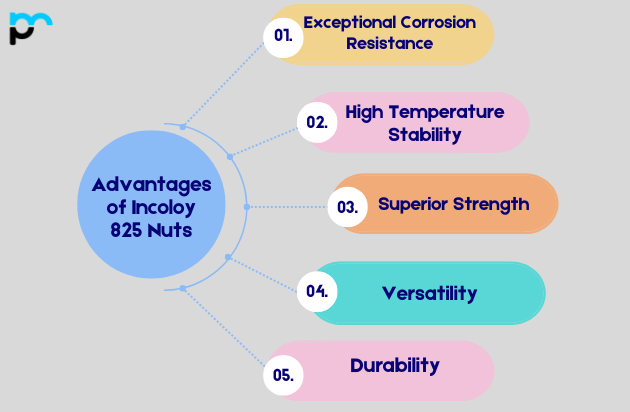 Advantages of Incoloy 825 Nuts