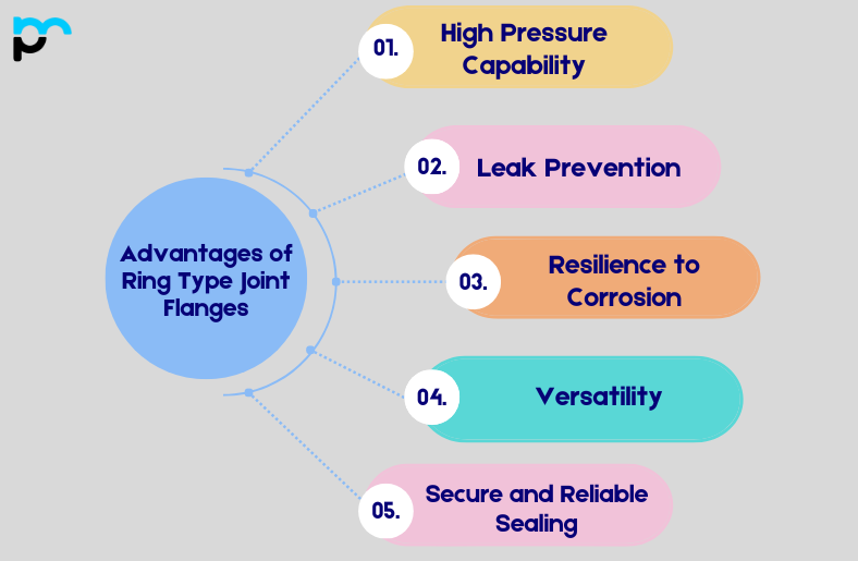 Advantages of Ring Type Joint Flanges