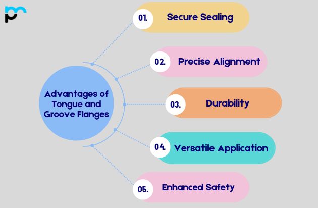 Advantages of Tongue and Groove Flange