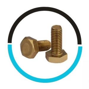 Copper Nickel Hex Bolt