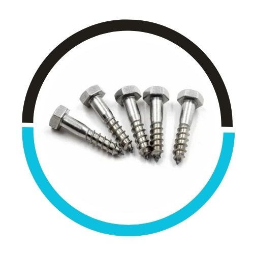 DIN 571 Stainless Steel Hex Leg Screw in UAE