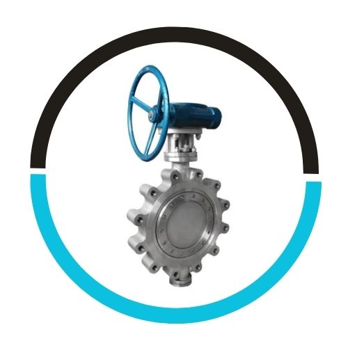 Double Offset Butterfly Valve in UAE
