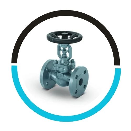 Globe Valves in UAE