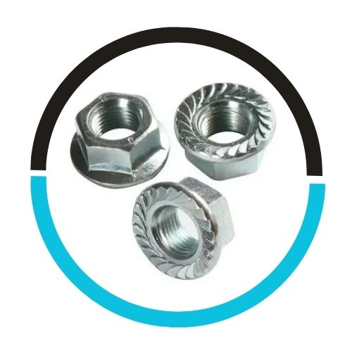 Serrated Flange Nut in UAE