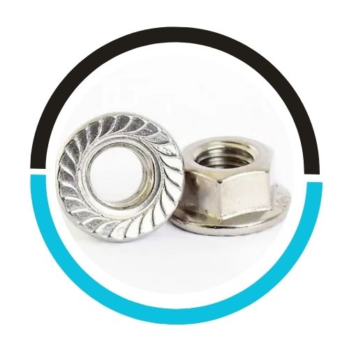 Stainless Steel Flange Nuts in UAE