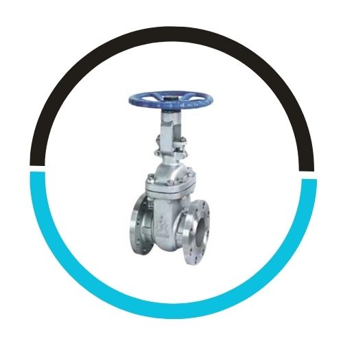 Stainless Steel Flat Gate Valves in UAE