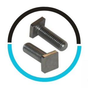 Titanium Square Bolt