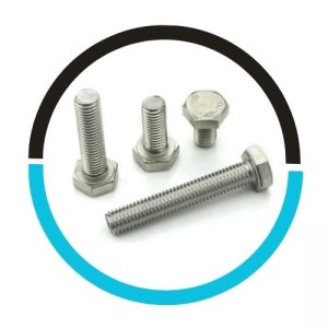 UNS-N10665-Hastelloy-Hex-Head-Bolts in UAE