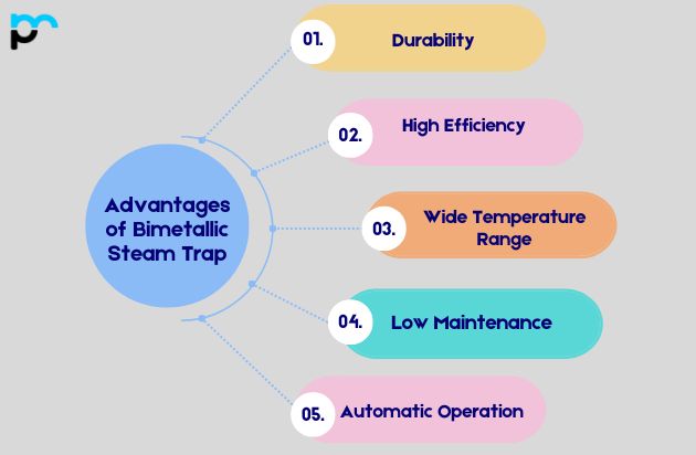Advantages of Bimetallic Steam Trap