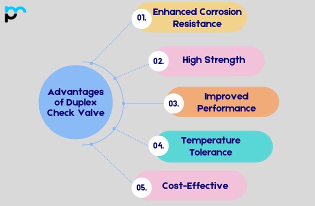 Advantages of Duplex Check Valve