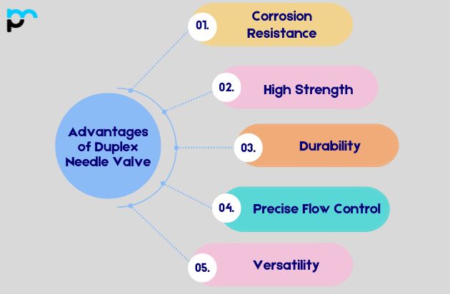 Advantages of Duplex Needle Valve