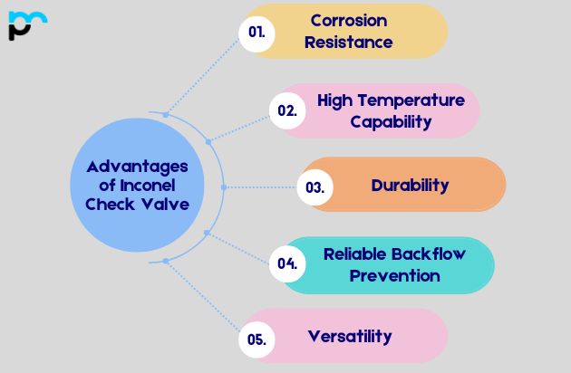 Advantages of Inconel Check Valve