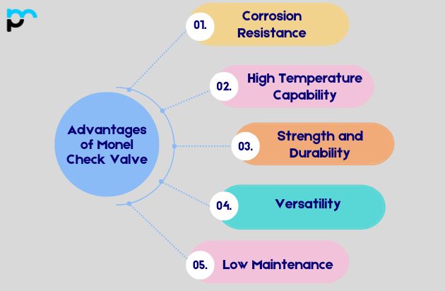 Advantages of Monel Check Valve