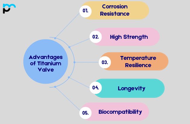Advantages of Titanium Valve