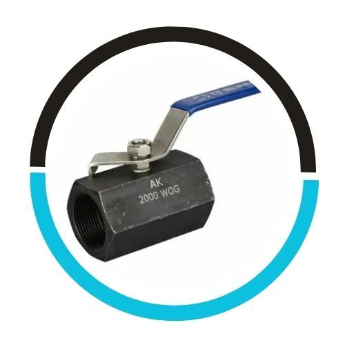 Socket Weld Duplex Needle Valve in UAE