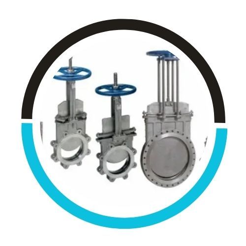 Spring Needle Duplex Check Valve in UAE
