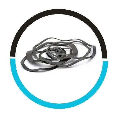 Carbon Steel Curved Gaskets in UAE