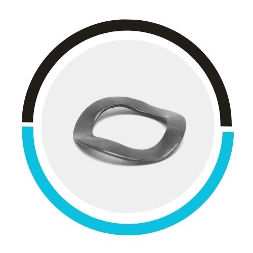 Hastelloy Curved Gasket in UAE